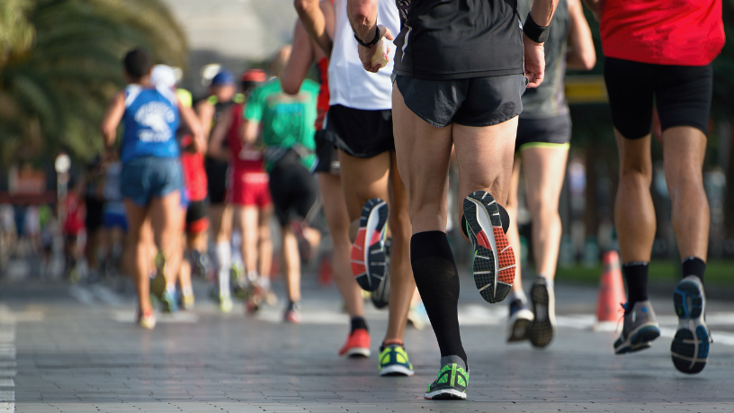 Márcio Velho da Silva