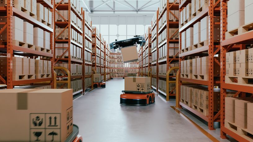 Elias Assum Sabbag Júnior