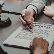 Renato de Castro Longo Furtado Vianna