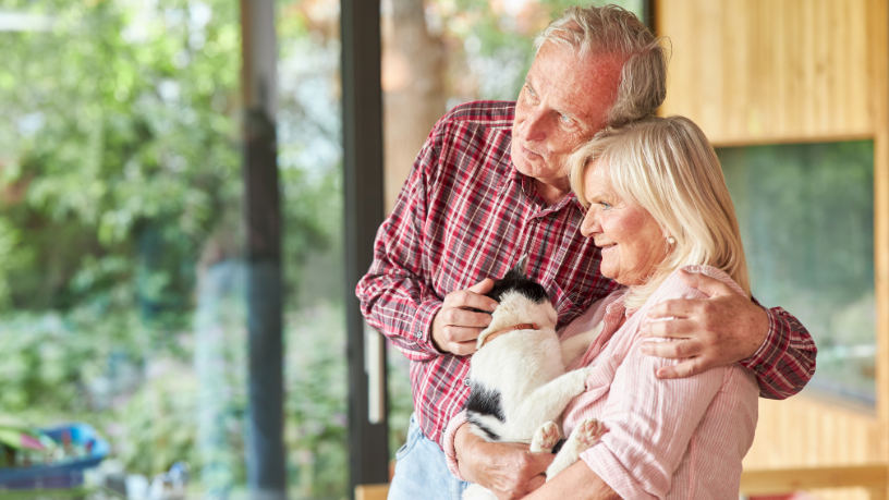 Sindnapi - Sindicato Nacional dos Aposentados, Pensionistas e Idosos
